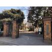 大学