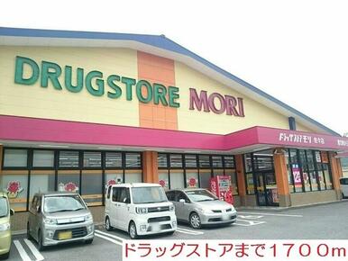 ドラッグストア　モリ