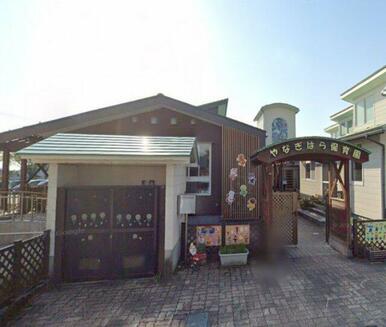 社会福祉法人周山会やなぎはら保育園