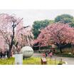 公園