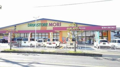 ドラッグストア　モリ　西大在店
