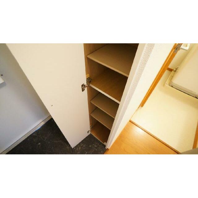 たくさんの靴が入ります