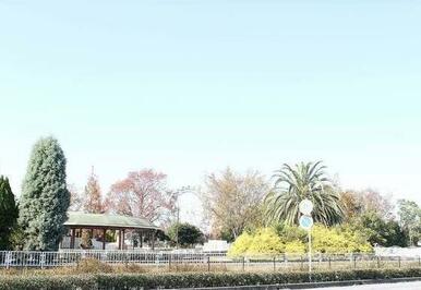 堀内公園