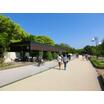 公園
