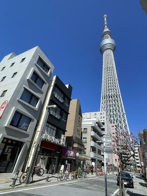 物件の通りから東京スカイツリーが良く見えます！