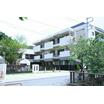 幼稚園、保育園