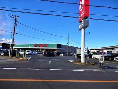 せんどう島野店