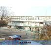 幼稚園、保育園