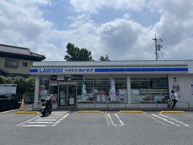 ローソン・スリーエフ柏大井西店