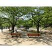 公園