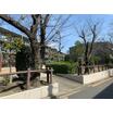 公園