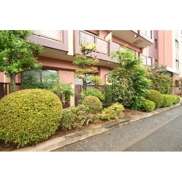 植栽