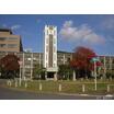 大学