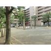 公園