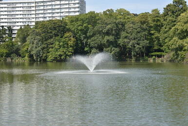 ★井の頭恩賜公園