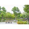公園