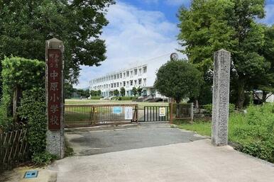 中原小学校