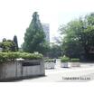 大学