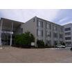 大学