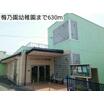 幼稚園、保育園