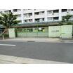幼稚園、保育園