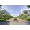 大学