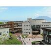 大学