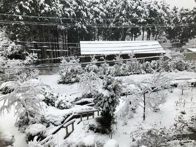 雪景色も箱根ならでを感じられます。（オーナー様撮影）