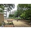公園