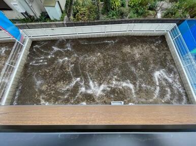 ガーデニングや家庭菜園、お子様と遊んだり楽しみが広がりますね＾＾