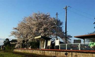 加茂野駅