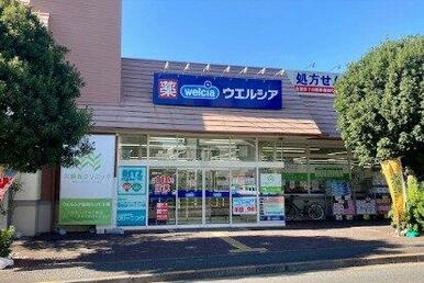 ウエルシア大田上池台店
