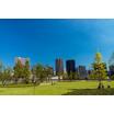 公園