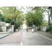 大学