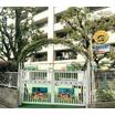 幼稚園、保育園