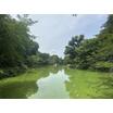 公園