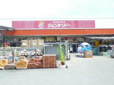 ジュンテンドー通津店
