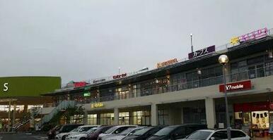 ヤオコー　浦和美園店（埼玉県）