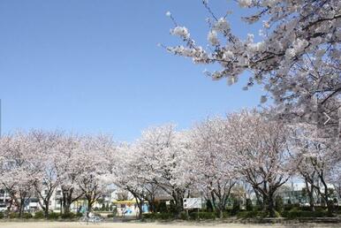 中央公園