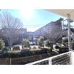 大学