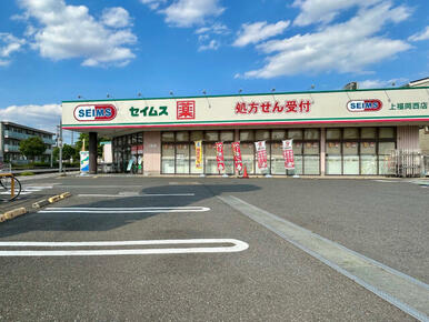 ドラッグセイムス上福岡西店