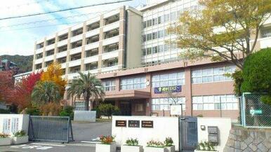 神戸大学大学院人間発達環境学研究科・発達科学部