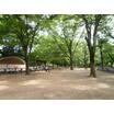 公園