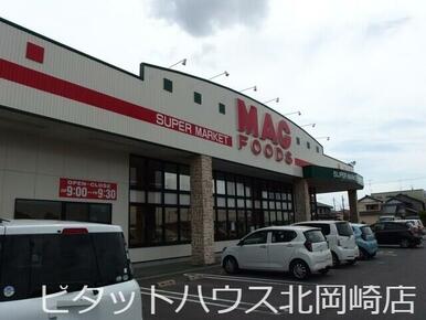 マグフーズ 中島店