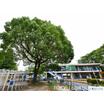 公園
