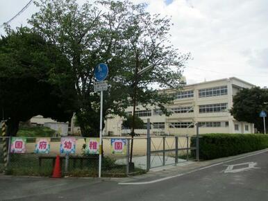 徳島市立国府幼稚園