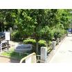 公園