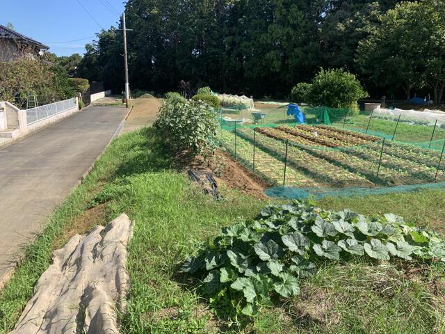 物件画像 京都郡みやこ町 豊津 (新豊津駅) 住宅用地