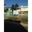 幼稚園、保育園