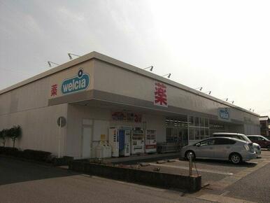 ウエルシア　中央店まで1300m